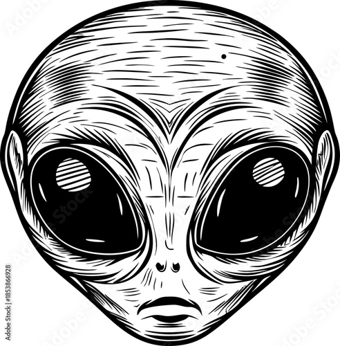 Alien face illustration with large eyes black and white extraterrestrial head, detailed graphic line art, mysterious outer space creature