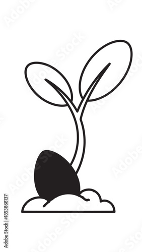 Young seedling sprouting from the soil with two small leaves against a plain white background.