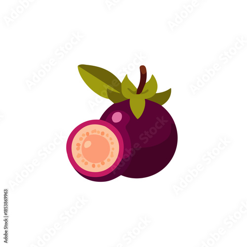 2D_icon_of_a_mangosteen, Vector, eps, flat design, animation design, simple flat 2D icon, minimalist design, clipart, illustration, EPS format