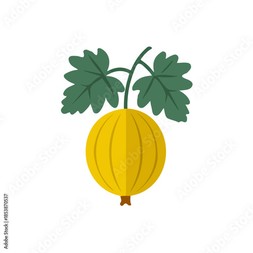 2D_icon_of_a_gooseberry_isolated, Vector, eps, flat design, animation design, simple flat 2D icon, minimalist design, clipart, illustration, EPS format