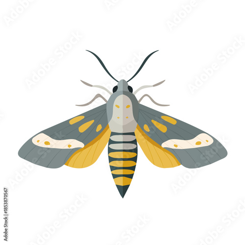 2D_icon_of_a_hawk_moth_isolated, Vector, eps, flat design, animation design, simple flat 2D icon, minimalist design, clipart, illustration, EPS format