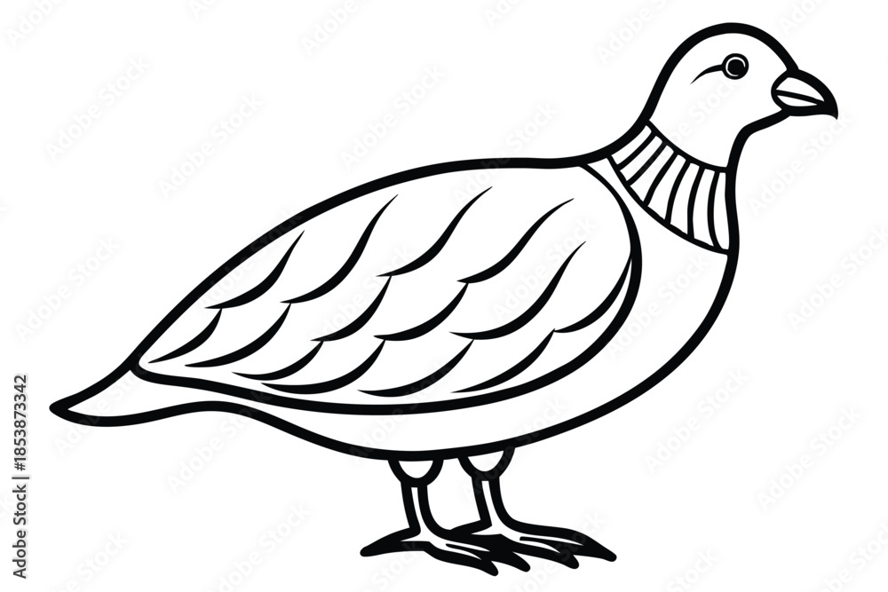Obraz premium chukar silhouette line art vector illustration with a white background