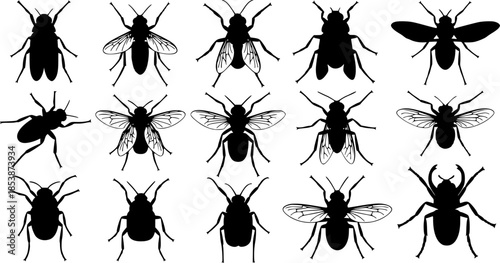 Insect silhouettes collection, fly mosquito bee species, winged bug icon, vector illustration, nature art, entomology design, wildlife fauna, pest control graphic