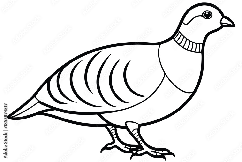 Fototapeta premium chukar silhouette line art vector illustration with a white background
