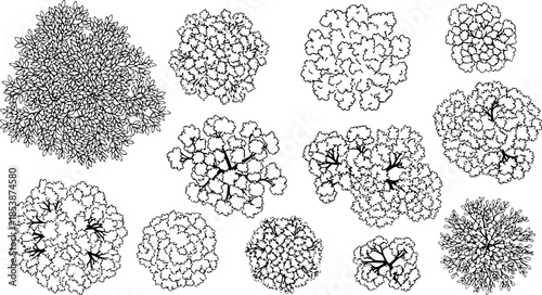 Top view tree canopy illustration set, diverse foliage textures, landscape greenery clipart, natural plant design, eco nature vegetation, outdoor environment vector