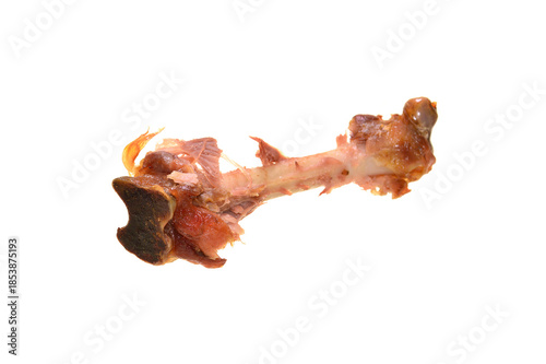 chicken bone isolated on white background