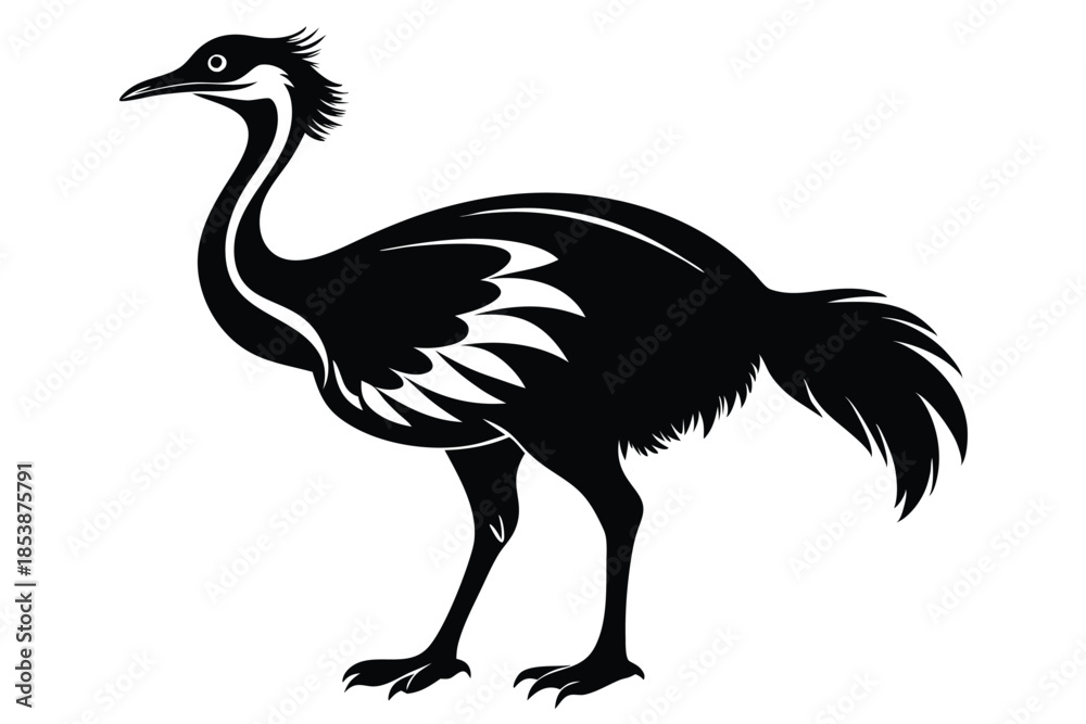 Obraz premium cassowary silhouette line art vector illustration with a white background