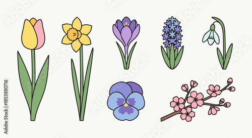 Spring Flower Variety Botanical Icon Set with Tulips and Crocus