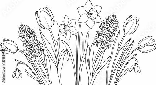 Detailed Hand Drawn Spring Flowers Line Art Botanical Illustration