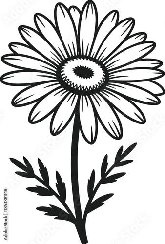 Black and white daisy flower vector illustration with leaves silhouette