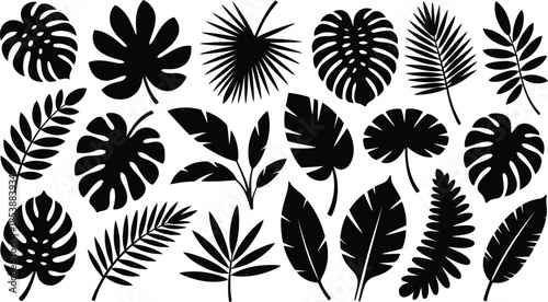 A collection of various black tropical plant leaf silhouettes including monstera and palm leaves