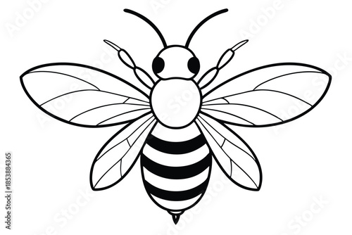 bee silhouette line art vector illustration with a white background