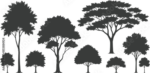 Black tree silhouette vector set with diverse canopy and trunk styles for nature, landscape, and educational design applications.