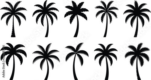 A varied group of black palm tree silhouettes capturing the essence of tropical landscapes and paradise