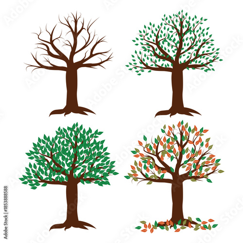 Four Seasons Tree Clipart Set – Stylized Seasonal Illustration of Winter, Spring, Summer, and Autumn