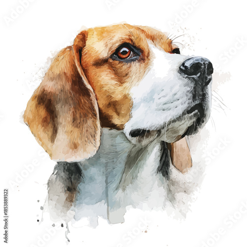 Watercolor-style vector illustration of Beagle Head, isolated on a clean white background.