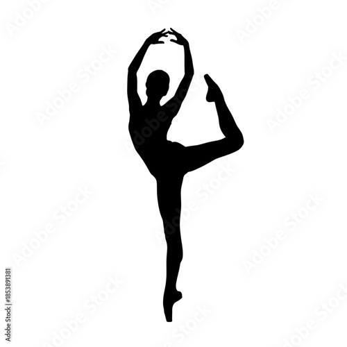 Silhouette of a graceful ballerina in elegant pose.