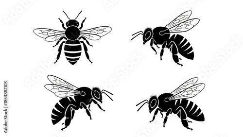 Black Honeybee Silhouette Vector Set Showing Multiple Flight Directions and Landing Poses