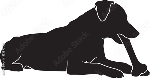 silhouette of a cat and dog sitting together. dog eat   
