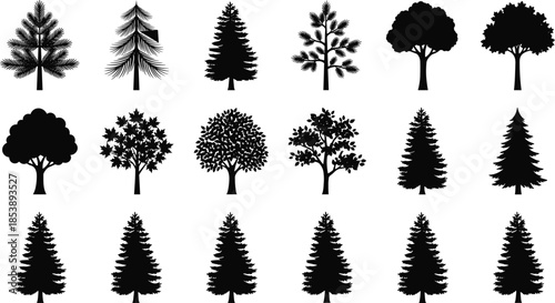 Black tree silhouettes collection with pine, fir, spruce and deciduous trees isolated on white background, nature forest landscape design elements.