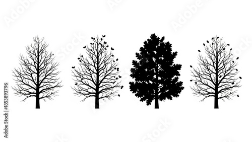 Black Oak Tree Crown Silhouette Vector Showing Seasonal Transformation Stages