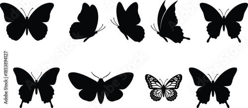 Set of Black Butterfly Silhouettes, Flying Insect Collection Isolated on White Background for Tattoo, Spring, and Nature Design Elements