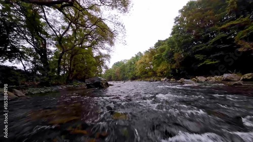 秋の川辺を飛ぶ