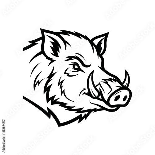 Detailed Black and White Drawing of a Wild Boar Head.