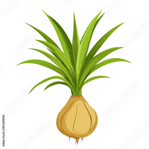 A Minimalistic 2D flat icon featuring a yucca root set, clean vector design, simple illustration style, isolated on a white background, and modern elements in vector and EPS format. simple icon