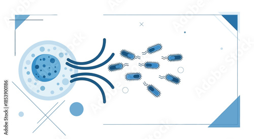 Depiction of cellular invasion and bacterial spread within a microscopic environment
