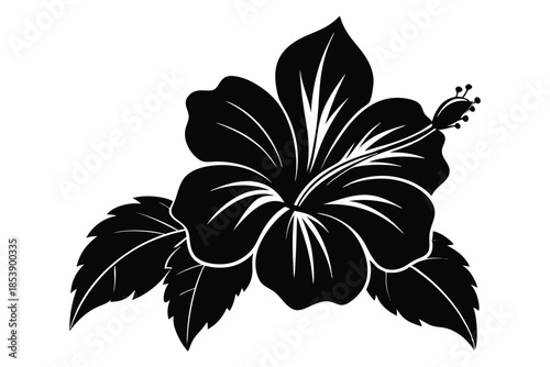 hibiscus silhouette line art vector illustration with a white background