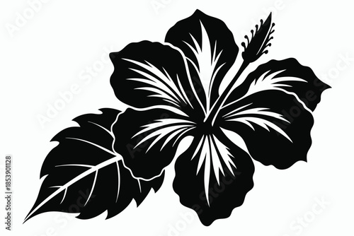 hibiscus silhouette line art vector illustration with a white background