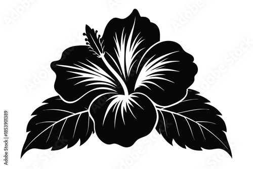 hibiscus silhouette line art vector illustration with a white background