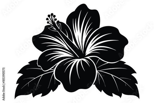 hibiscus silhouette line art vector illustration with a white background