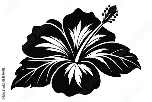 hibiscus silhouette line art vector illustration with a white background