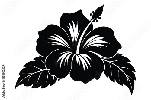 hibiscus silhouette line art vector illustration with a white background