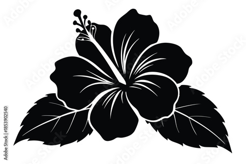 hibiscus silhouette line art vector illustration with a white background