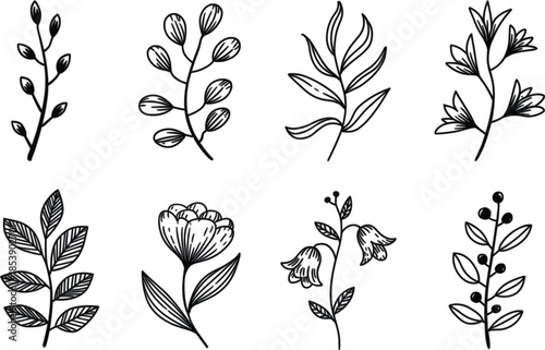 Black and white line of various plants and flowers