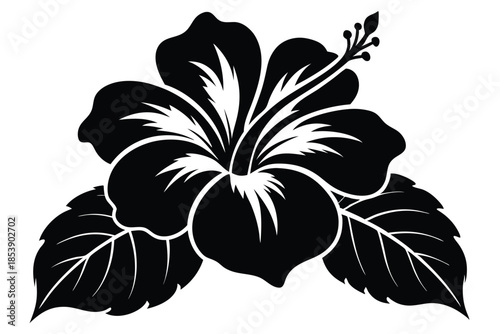 hibiscus silhouette line art vector illustration with a white background
