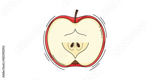 Detailed illustration of a fresh apple cut in half horizontally revealing the inner core, seeds, and red skin.