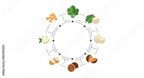 Vegan protein source chart with circular diagram showing various plant-based food options like nuts, tofu, chickpeas, and seeds.