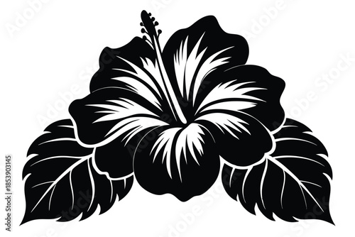 hibiscus silhouette line art vector illustration with a white background