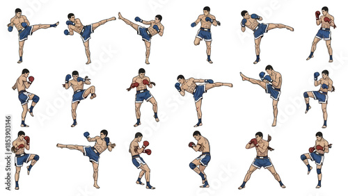 Dynamic kickboxing poses collection for martial arts designs