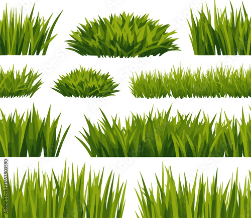 Isolated a kinds of deferent Bright vector green grass seamless pattern vector art with white background.