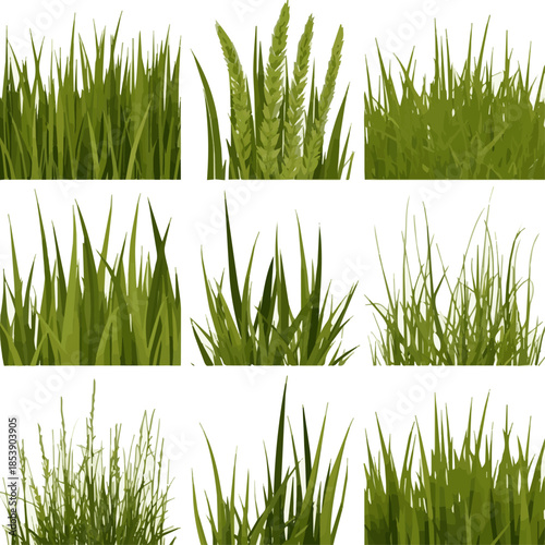 Isolated a kinds of deferent Bright vector green grass seamless pattern vector art with white background.