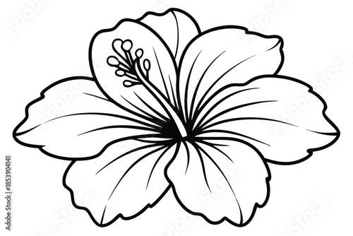 hibiscus silhouette line art vector illustration with a white background
