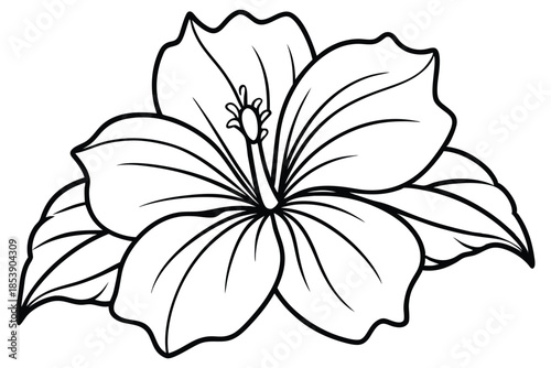 hibiscus silhouette line art vector illustration with a white background
