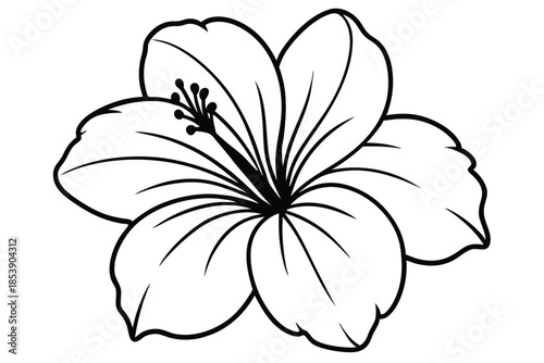 hibiscus silhouette line art vector illustration with a white background