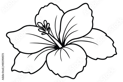 hibiscus silhouette line art vector illustration with a white background
