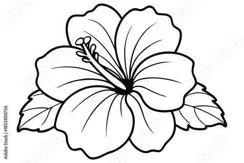 hibiscus silhouette line art vector illustration with a white background